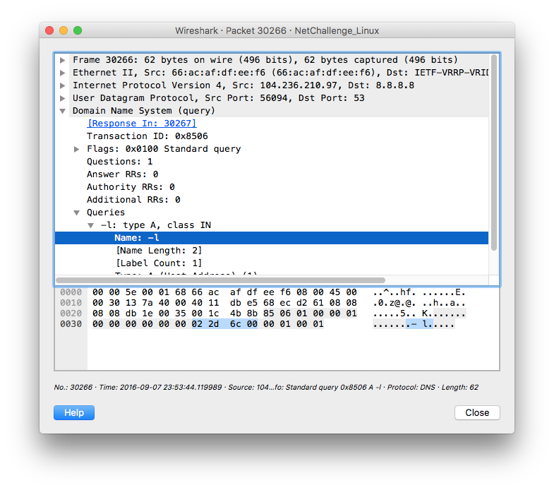Wireshark - DNS query